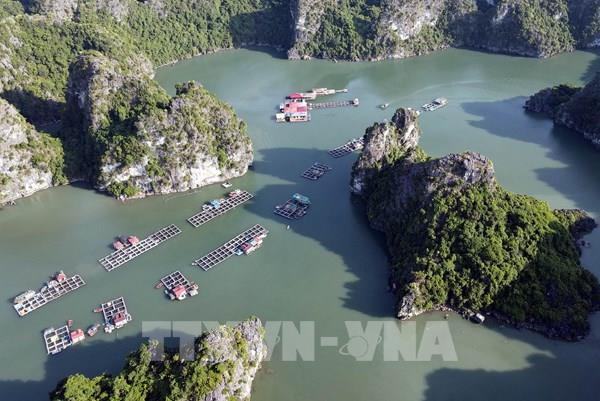 Khám phá làng chài Vung Viêng trên vịnh Hạ Long
