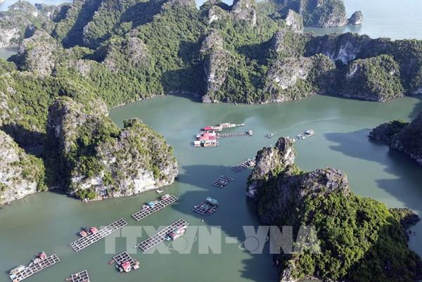 Khám phá làng chài Vung Viêng trên Vịnh Hạ Long