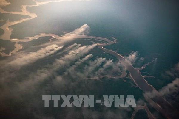 Số vụ cháy rừng Amazon tại Brazil cao kỷ lục