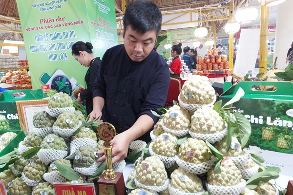 Đưa trái na và nông đặc sản Lạng Sơn đến với Thủ đô