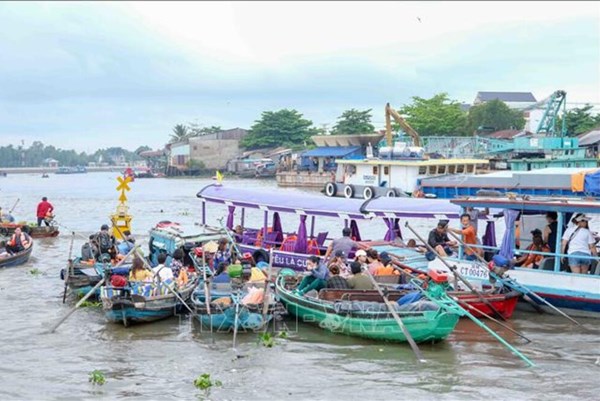 Đình chỉ hoạt động bè xảy ra sự cố làm du khách rơi xuống sông Chợ nổi Cái Răng