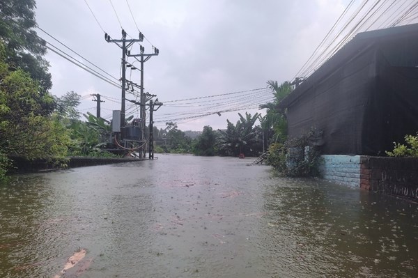 EVN ứng phó với mưa lũ, sạt lở đất, lũ quét