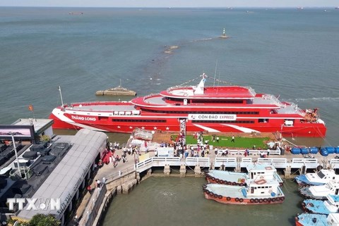 Tăng chuyến tàu cao tốc tuyến Vũng Tàu – Côn Đảo, giảm giá vé dịp hè 2026