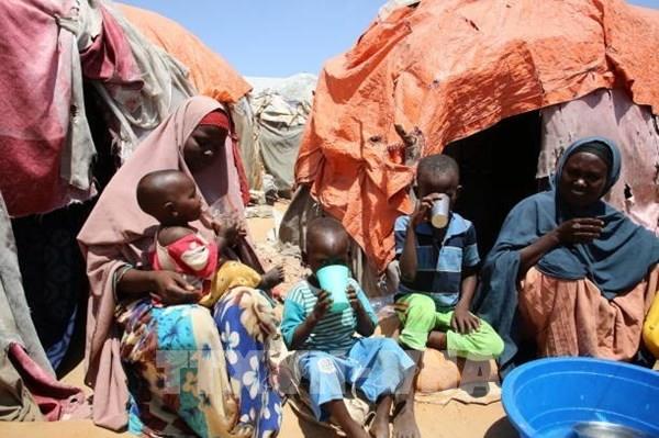 IOM: Hơn 20 triệu người phải di dời ở vùng Sừng châu Phi