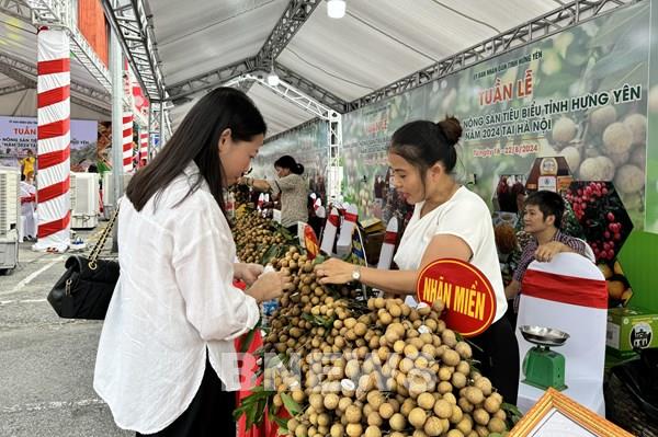 Quảng bá, kết nối tiêu thụ nhãn lồng Hưng Yên tại Hà Nội