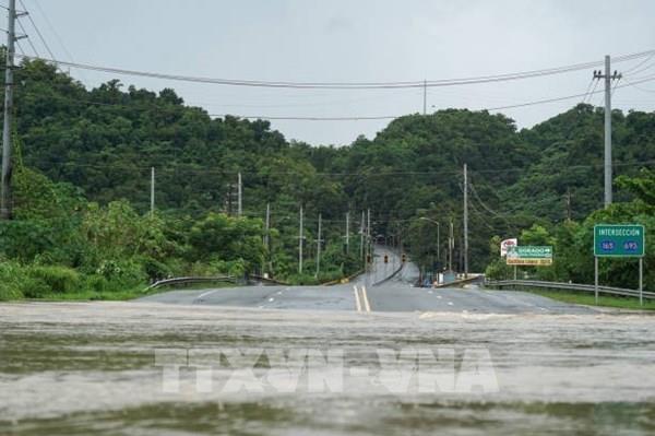 Bão Ernesto mạnh trở lại trên Đại Tây Dương