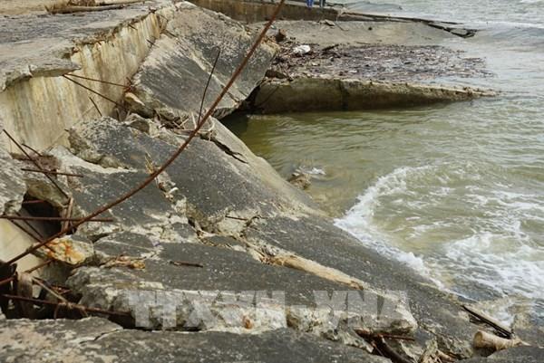 ​Sớm công bố tình huống khẩn cấp xâm thực, sạt lở bờ biển ở Hoằng Hóa