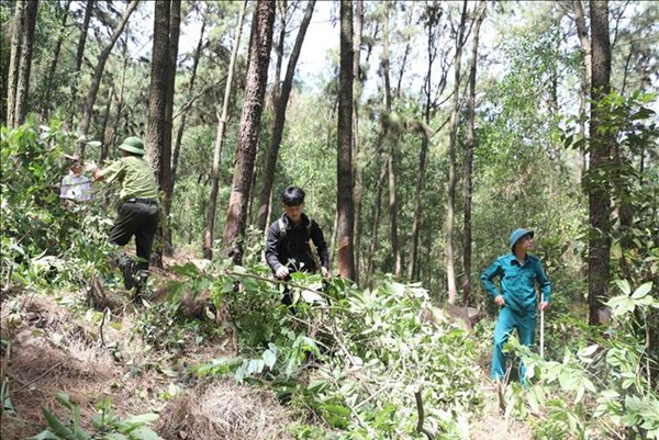 Nghệ An chi trả dịch vụ môi trường rừng cho hơn 20.900 chủ rừng