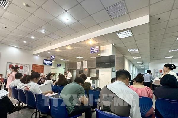 Đấu giá đất tại huyện Phúc Thọ (Hà Nội) hạ nhiệt, giá trúng cao nhất 60 triệu đồng/1m2
