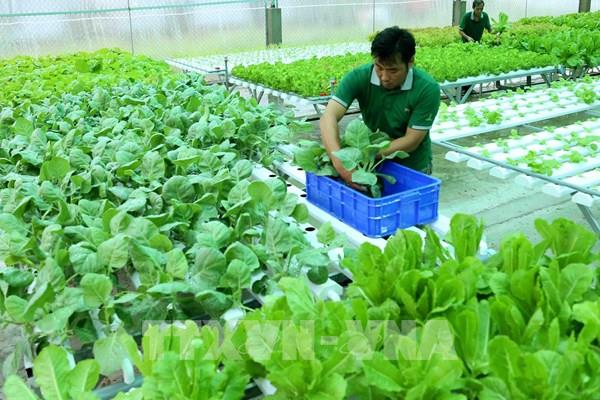 Quy định hữu cơ mới của EU: Cơ hội thu hút thêm thành viên vào hợp tác xã