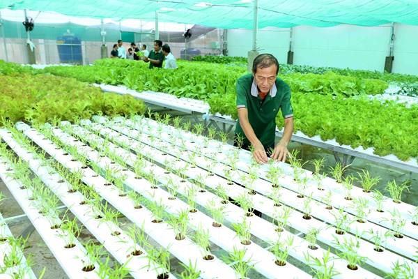 Kinh tế tập thể, hợp tác xã - đòn bẩy phát triển kinh tế nông thôn