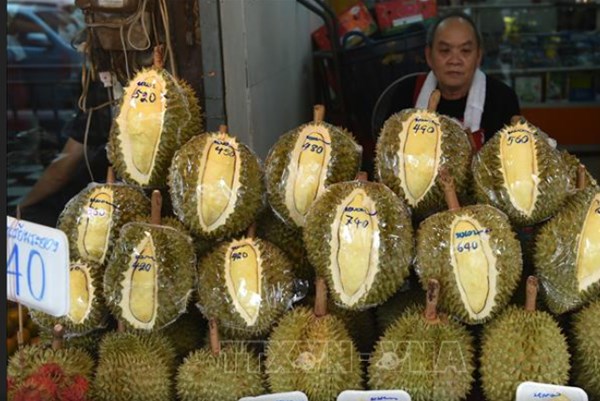 Sầu riêng Thái Lan chiếm lĩnh thị trường Trung Quốc