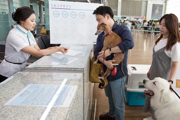 Xu hướng du lịch mới "lên ngôi" tại Hàn Quốc