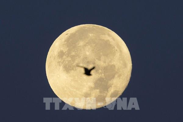 Tổng hợp sự kiện quốc tế nổi bật trong tuần qua ảnh (từ ngày 19-25/8/2024)