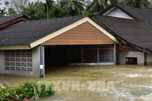 Mưa lũ gây thiệt hại lớn tại Thái Lan và Trung Quốc