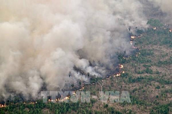 Brazil ban bố cảnh báo cháy rừng mức cao nhất tại 30 thành phố