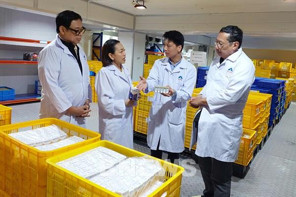 Philippines sắp nhập khẩu tiếp 150.000 liều vaccine dịch tả lợn châu Phi của Việt Nam