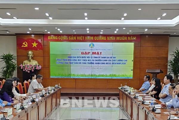 Làm sao để thực hiện hiệu quả đề án một triệu ha lúa chất lượng cao?