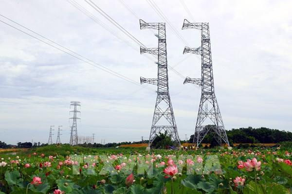 Hình ảnh Dự án đường dây 500 kV mạch 3 Quảng Trạch - Phố Nối