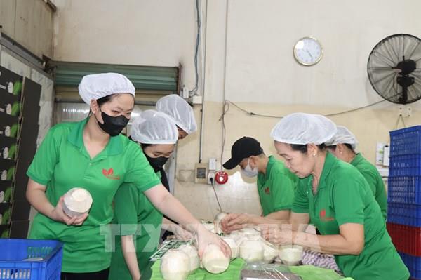 Xuất khẩu chính ngạch sang Trung Quốc: Cơ hội cơ cấu lại ngành hàng dừa