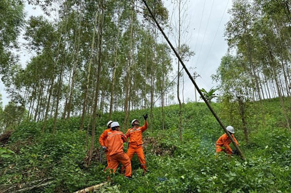 Nhiều giải pháp đảm bảo hành lang lưới điện mùa mưa bão