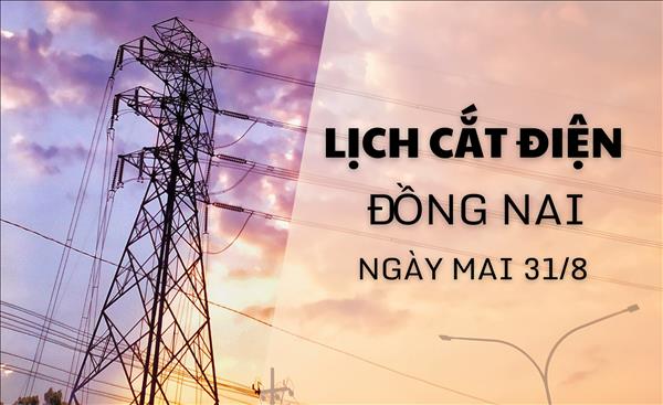 Lịch cắt điện Đồng Nai ngày mai 31/8 cập nhật mới nhất