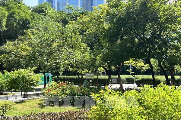 Công viên Cửu Long - ốc đảo xanh giữa lòng Hong Kong