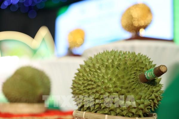 Bán đấu giá ba “Nữ hoàng sầu riêng”