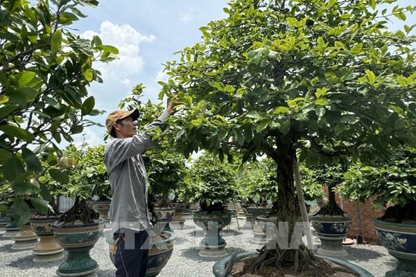 Tín dụng chính sách: Nguồn lực còn hạn chế so với nhu cầu