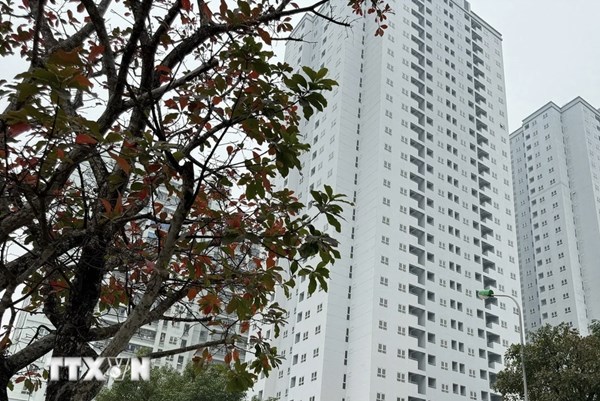 Nhu cầu về mặt bằng văn phòng sẽ giảm đáng kể ở Đức