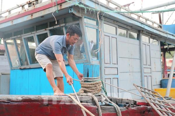 Chủ động ứng phó với bão số 3