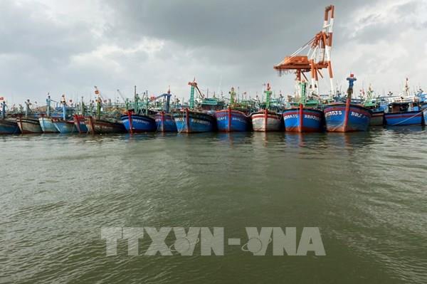 Ứng phó với bão số 3: Còn 11 tàu của Bình Định nằm trong vùng nguy hiểm của bão