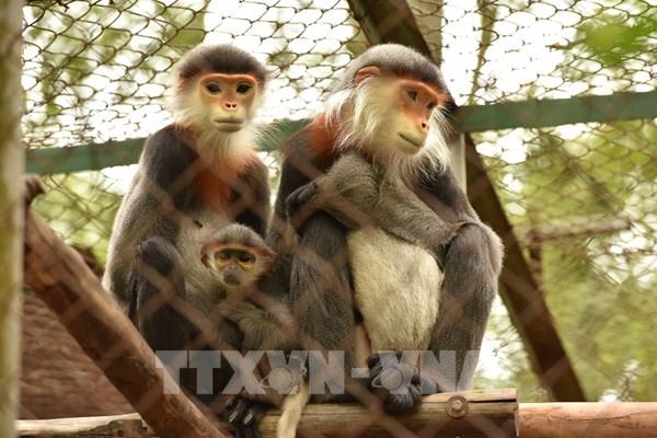 Chiêm ngưỡng Vườn quốc gia hàng đầu châu Á năm 2024