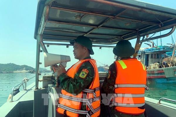 Các địa phương khẩn trương ứng phó với bão số 3