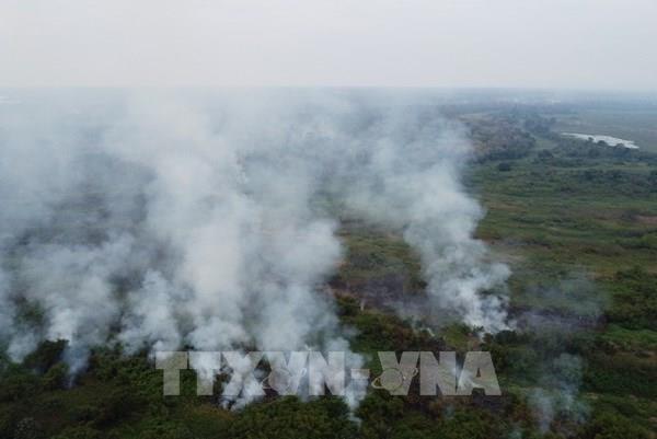 Bước tiến trong cuộc chiến chống biến đổi khí hậu