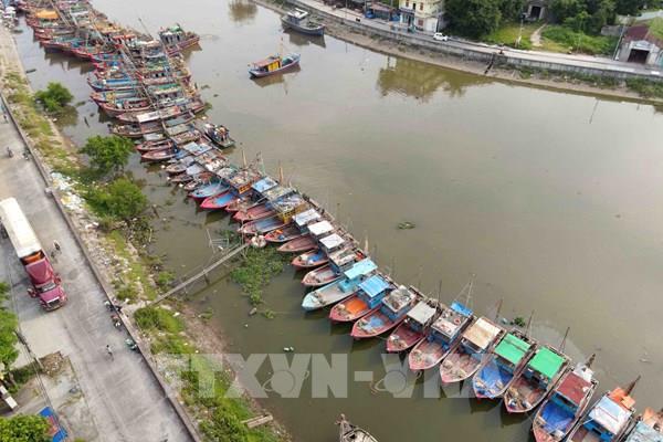 Khẩn trương đưa tàu thuyền ra khỏi vùng nguy hiểm có bão