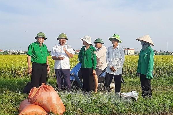 Ứng phó bão số 3: Chuẩn bị các phương án phù hợp với diễn biến thực tế