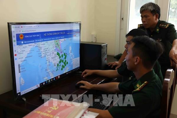 Gỡ “thẻ vàng” IUU - Bài 2: Chuyên gia nhận định Việt Nam đang đi đúng hướng