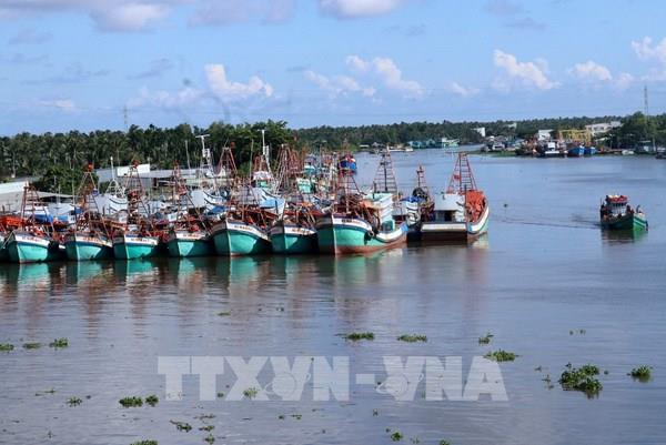 Khắc phục "thẻ vàng" IUU: Nhiều chuyển biến tích cực