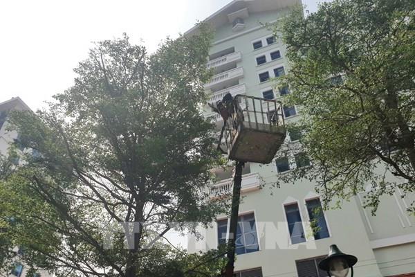 Ứng phó bão số 3: Hà Nội triển khai các phương án chủ động, đồng bộ