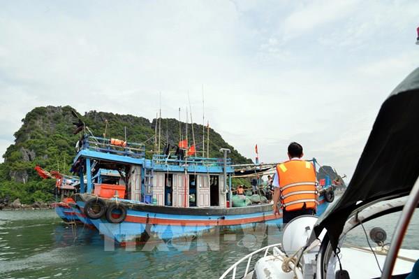 Ứng phó bão số 3: Hành động nhanh chóng, chuẩn bị tốt các phương án