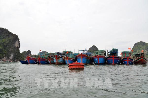 Ứng phó bão số 3: Tâm bão cách Quảng Ninh 450 km