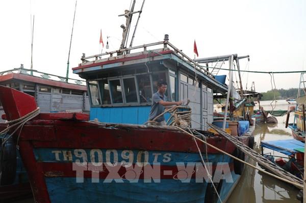 Thống kê thiệt hại về tàu thuyền và tài sản sau bão số 3