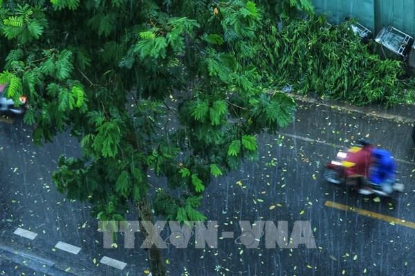 Bộ Y tế lên phương án đảm bảo khám chữa bệnh, cấp cứu trong bão số 3