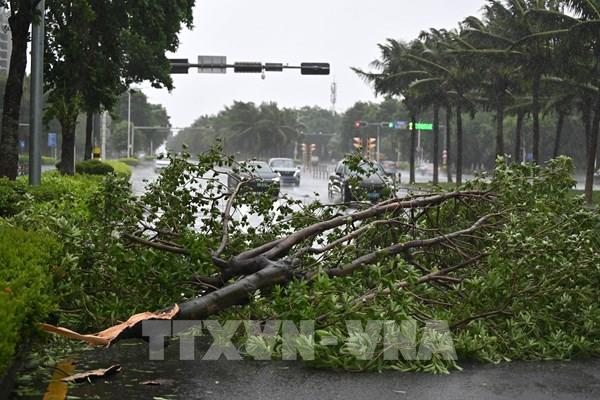 Trung Quốc dự báo siêu bão Yagi đổ bộ 2 lần, duy trì mức cảnh báo cao nhất