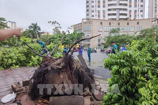 Tường nhà, cây xanh gãy đổ làm 1 người chết, 4 người bị thương tại Hà Nội