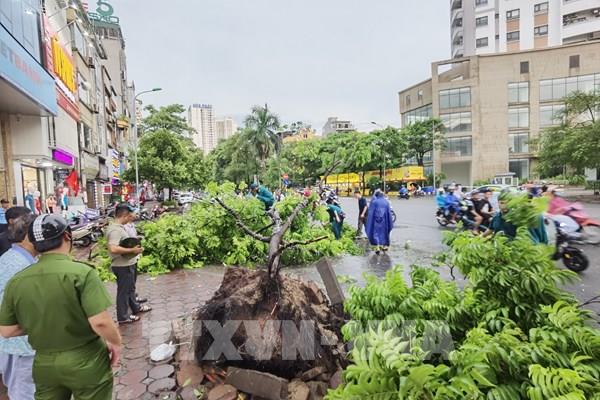 Ứng phó bão số 3: Hà Nội chủ động đảm bảo trật tự, an toàn giao thông