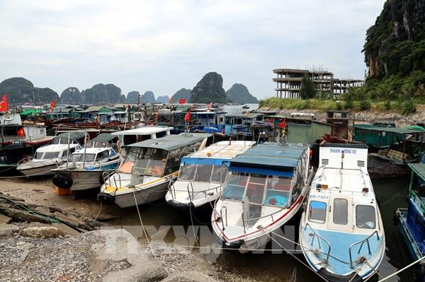 Chuyên gia chia sẻ những điểm đáng lo ngại nhất của bão số 3