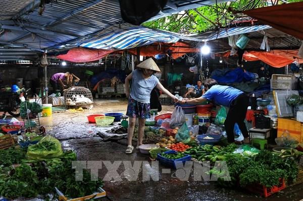 Thực phẩm, rau xanh dồi dào, giá ổn định trong ngày bão số 3