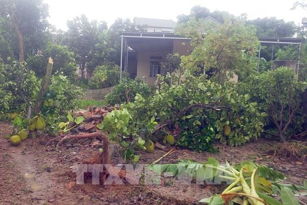 Bão số 3: Yên Bái, Vĩnh Phúc ứng phó ở mức cao nhất